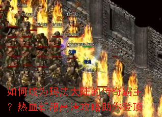 ��γ�Ϊ�귨��½�Ĵ����������Ѫ�·����幥������Ƕ�