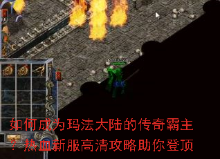 ��γ�Ϊ�귨��½�Ĵ����������Ѫ�·����幥������Ƕ�