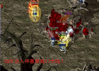 如何进入神墓新服17大陆? 如何进入神墓新服17大陆?