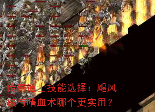 �����ʿ����ѡ��쫷�������Ѫ���ĸ���ʵ�ã�