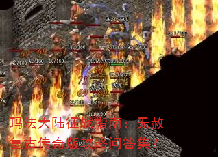 �귨��½��սָ�ϣ����⸴�Ŵ���湥���ʴ𼯣�