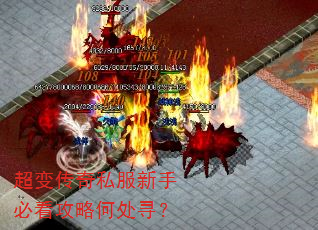 ���䴫��˽�����ֱؿ����Ժδ�Ѱ��