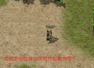 鸿鹄志向投资如何助你称霸传奇? 鸿鹄志向投资如何助你称霸传奇?