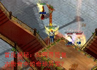首度揭秘:如何寻觅复古传奇中的奇珍异宝? 首度揭秘:如何寻觅复古传奇中的奇珍异宝?