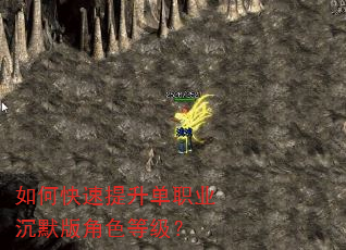 如何快速提升单职业沉默版角色等级? 如何快速提升单职业沉默版角色等级?
