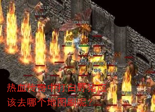 ��Ѫ�����д��Ұ��Ӧ��ȥ�ĸ���ͼˢ�أ�