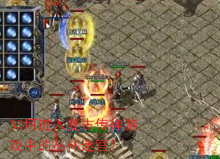 如何进入复古传神游戏中的丛林迷宫? 如何进入复古传神游戏中的丛林迷宫?