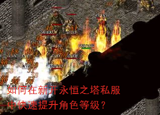 如何在新开永恒之塔私服中快速提升角色等级? 如何在新开永恒之塔私服中快速提升角色等级?