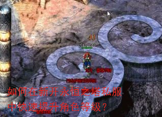 如何在新开永恒之塔私服中快速提升角色等级? 如何在新开永恒之塔私服中快速提升角色等级?