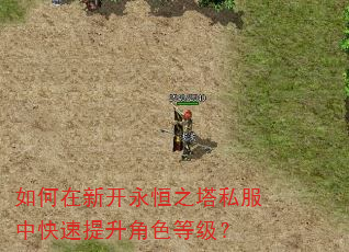 如何在新开永恒之塔私服中快速提升角色等级? 如何在新开永恒之塔私服中快速提升角色等级?