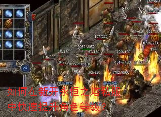 如何在新开永恒之塔私服中快速提升角色等级? 如何在新开永恒之塔私服中快速提升角色等级?