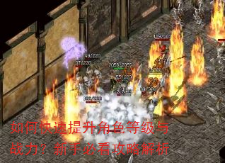 如何快速提升角色等级与战力?新手必看攻略解析 如何快速提升角色等级与战力?新手必看攻略解析