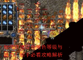 如何快速提升角色等级与战力?新手必看攻略解析 如何快速提升角色等级与战力?新手必看攻略解析