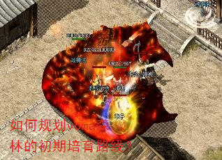 如何规划voma森林的初期培育路线? 如何规划voma森林的初期培育路线?