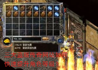 三大盗版传奇网站如何快速提升角色等级? 三大盗版传奇网站如何快速提升角色等级?