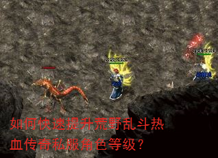 如何快速提升荒野乱斗热血传奇私服角色等级? 如何快速提升荒野乱斗热血传奇私服角色等级?