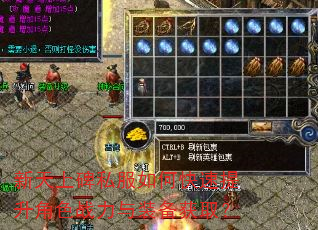 新天上碑私服如何快速提升角色战力与装备获取? 新天上碑私服如何快速提升角色战力与装备获取?