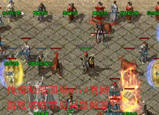 传奇私服国服mir4官网游戏攻略常见问题解答? 传奇私服国服mir4官网游戏攻略常见问题解答?