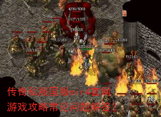 传奇私服国服mir4官网游戏攻略常见问题解答? 传奇私服国服mir4官网游戏攻略常见问题解答?