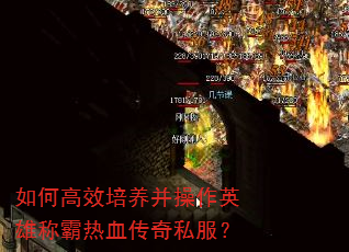 如何高效培养并操作英雄称霸热血传奇私服? 如何高效培养并操作英雄称霸热血传奇私服?