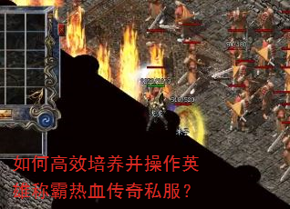 如何高效培养并操作英雄称霸热血传奇私服? 如何高效培养并操作英雄称霸热血传奇私服?