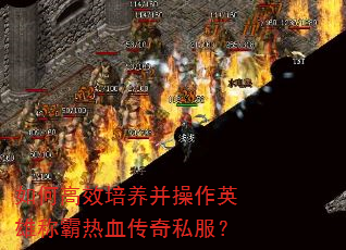 如何高效培养并操作英雄称霸热血传奇私服? 如何高效培养并操作英雄称霸热血传奇私服?