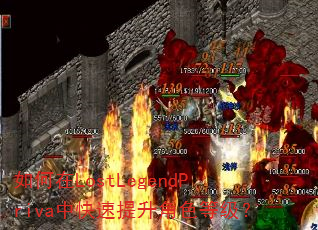 �����LostLegendPriva�п���������ɫ�ȼ���