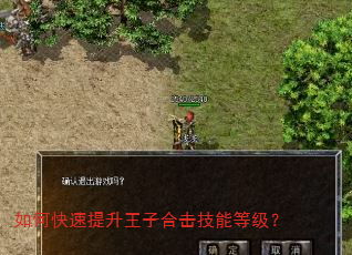 如何快速提升王子合击技能等级? 如何快速提升王子合击技能等级?