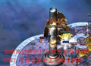 如何高效组织行会成员挑战世界BOSS?传奇玩家分工攻略全解析 如何高效组织行会成员挑战世界BOSS?传奇玩家分工攻略全解析