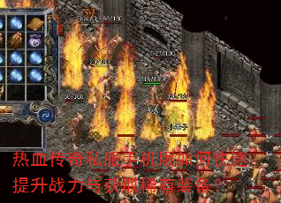 ��Ѫ����˽���ֻ�����ο�������ս�����ȡϡ��װ����