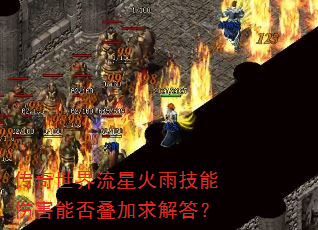 �����������ǻ��꼼���˺��ܷ��������