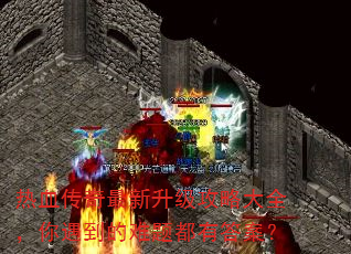 ��Ѫ���������������Դ�ȫ�������������ⶼ�д𰸣�