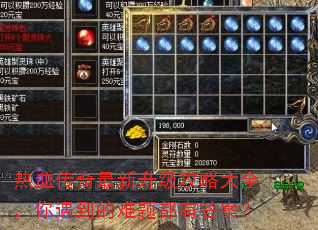 ��Ѫ���������������Դ�ȫ�������������ⶼ�д𰸣�