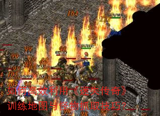 ��θ�Ч���á���ʧ���桷ѵ����ͼ�����ץȡ���ɣ�