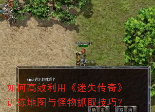 ��θ�Ч���á���ʧ���桷ѵ����ͼ�����ץȡ���ɣ�