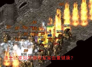 道士玩家如何确保宝宝血量健康? 道士玩家如何确保宝宝血量健康?