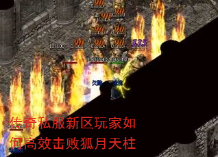 ����˽�����������θ�Ч���ܺ�������