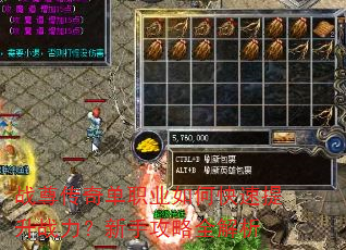 ս���浥ְҵ��ο�������ս�������ֹ���ȫ����