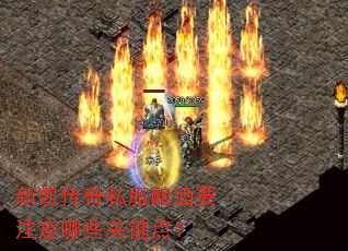 新凯传奇私服酿酒要注意哪些关键点? 新凯传奇私服酿酒要注意哪些关键点?