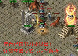 ����sf���ѵ����������ϸ��ȡ�����뼼�ɽ���