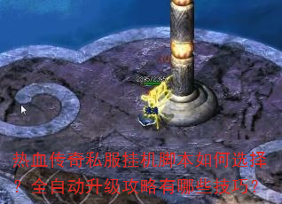��Ѫ����˽���һ��ű����ѡ��ȫ�Զ�������������Щ���ɣ�