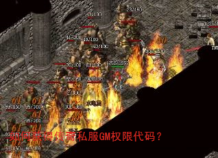 如何获得传奇私服GM权限代码? 如何获得传奇私服GM权限代码?