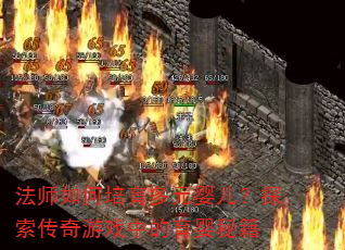 ��ʦ���������ԪӤ����̽��������Ϸ�е���Ӥ�ؼ�