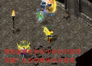 想知道哪些传说中的药剂值得收藏?这份攻略告诉你答案 想知道哪些传说中的药剂值得收藏?这份攻略告诉你答案
