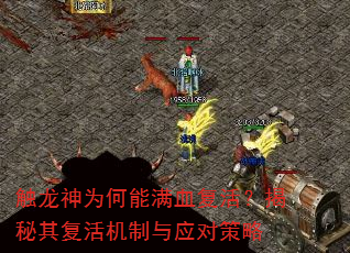 ������Ϊ������Ѫ��������临�������Ӧ�Բ���