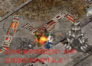 ��Щͽ���������������Ӧ����Ϸ�еļ��ֶ��ѣ�