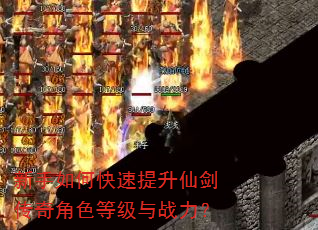 ������ο��������ɽ������ɫ�ȼ���ս����