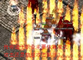 �����ʿְҵ��Ҫ����ħ��������������������ʤ��