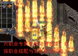 ��ְҵר���������ѡ����ǿְҵ������װ����ȡ���ԣ�