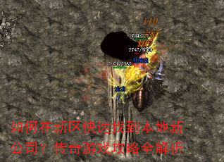 ��������������ҵ������¹�˾��������Ϸ����ȫ����